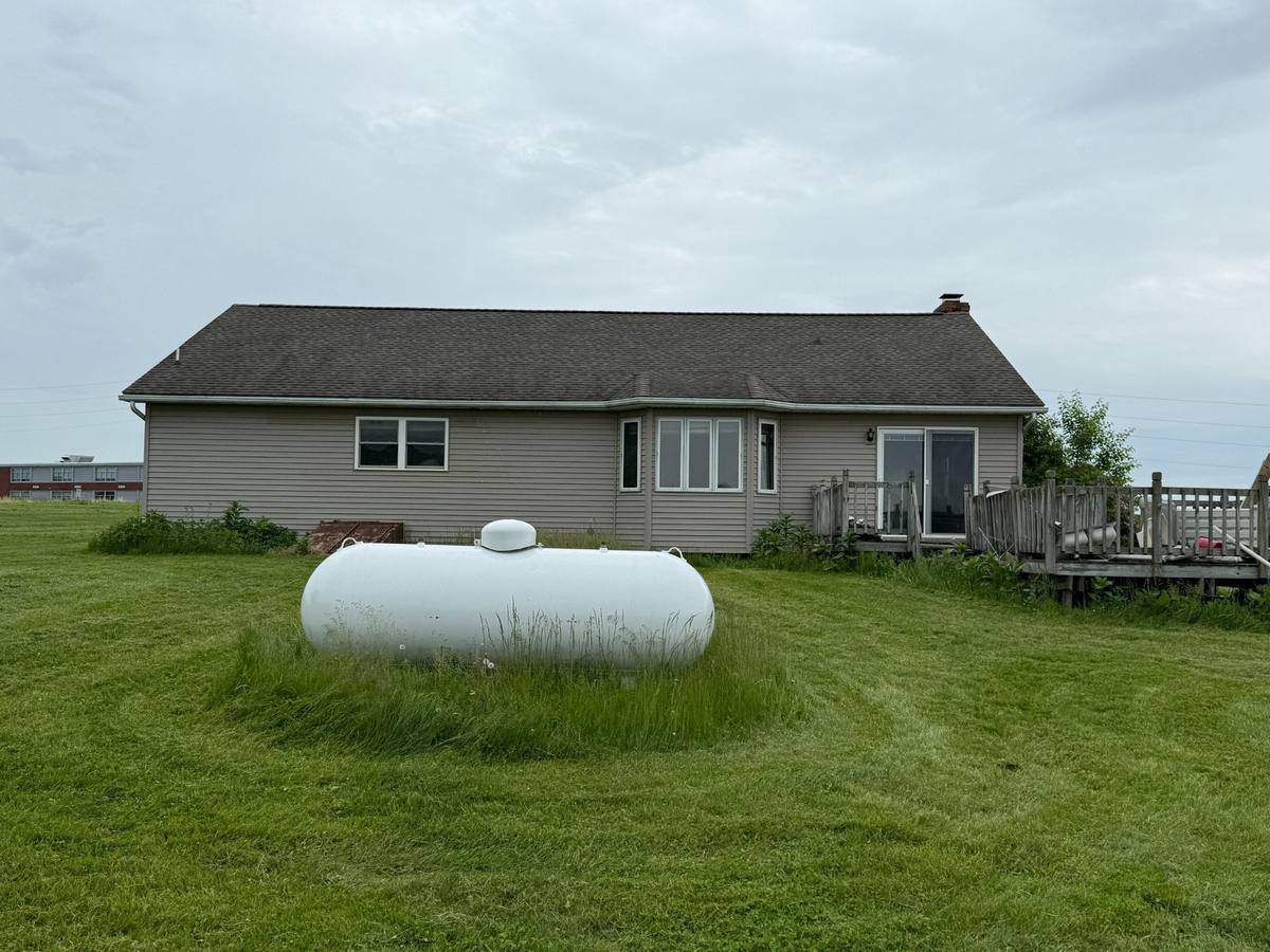Existing rear exterior and yard before design work